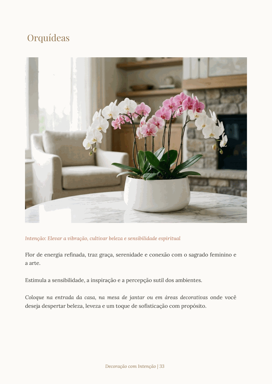 Decoração com Intenção • Orquídeas
