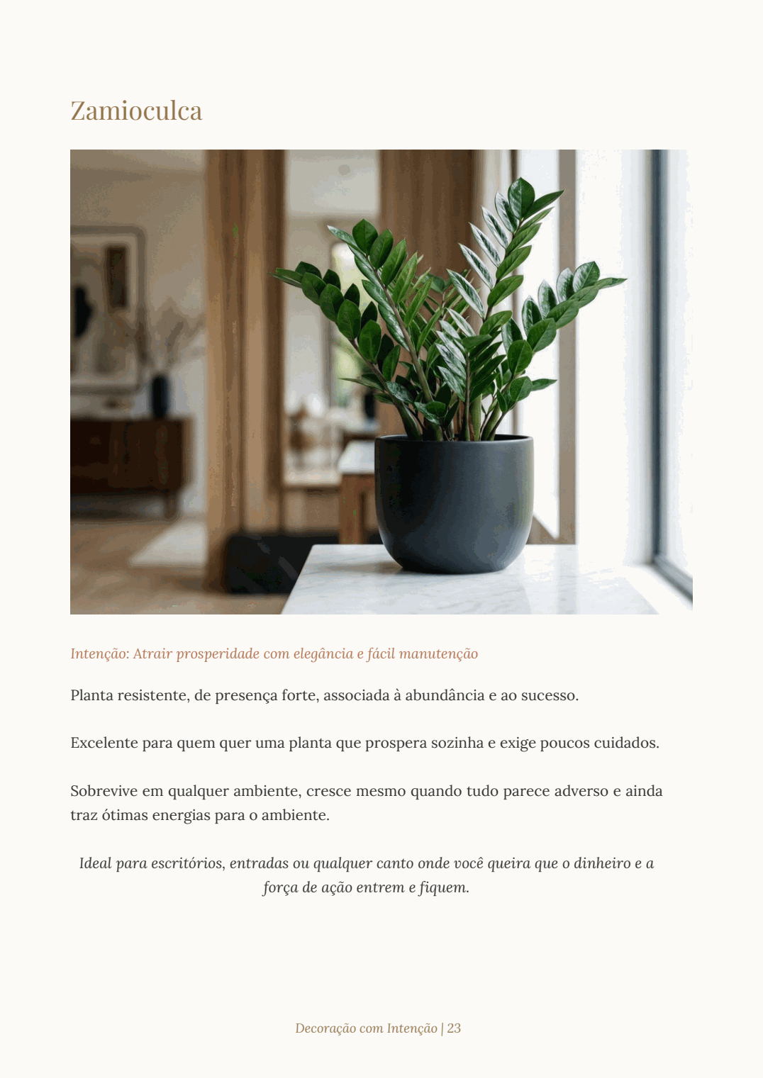 Decoração com Intenção • Plantas e prosperidade